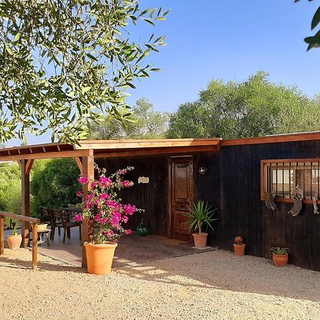 Вилла Preciosa Casa De Madera, Andalucia Прадо-дель-Рей Экстерьер фото